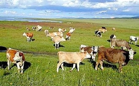 Европейската комисия одобри държавна помощ по схема Помощ в подкрепа